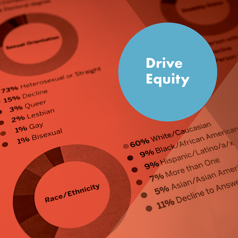 This image features a report with a red overlay. A blue circle is on top of it and reads, "Drive Equity" in white text.